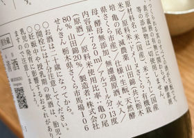 alt 3