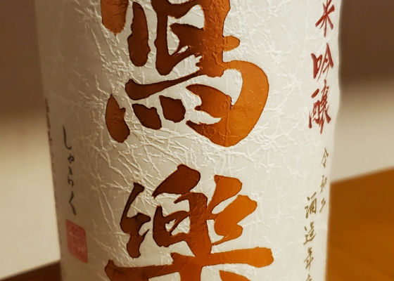 alt 1