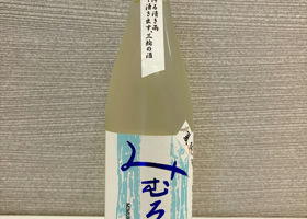alt 2