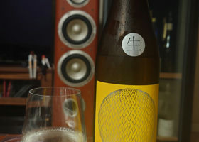 alt 1