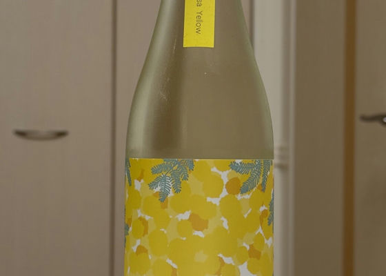 やまとしずくmimosa yellow