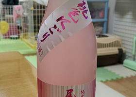 alt 1