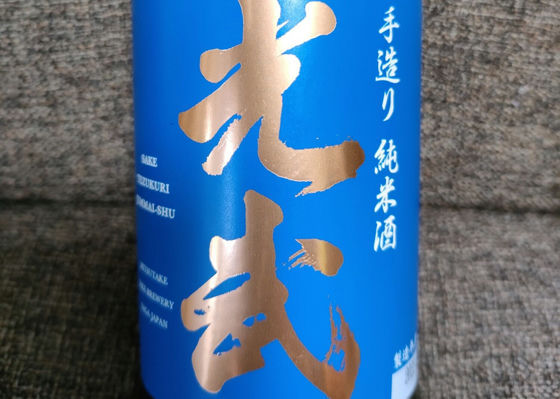 alt 1