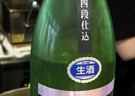 alt 1