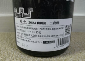 alt 1