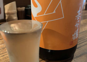 alt 1