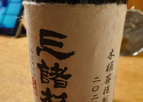 alt 1