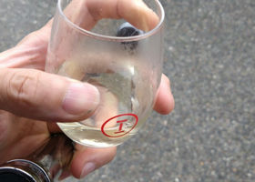 alt 3