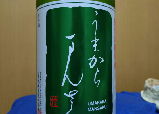 alt 1