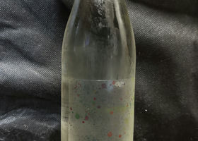 alt 1