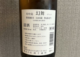 alt 3