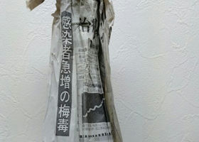 alt 3