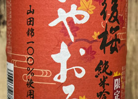 alt 1