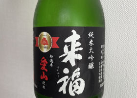 alt 1