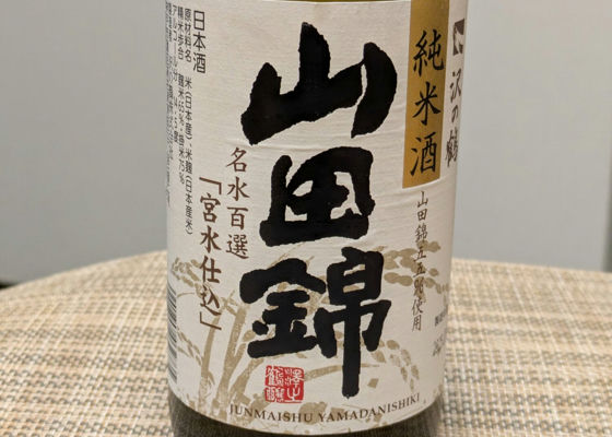 alt 1