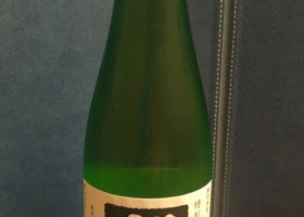 alt 1