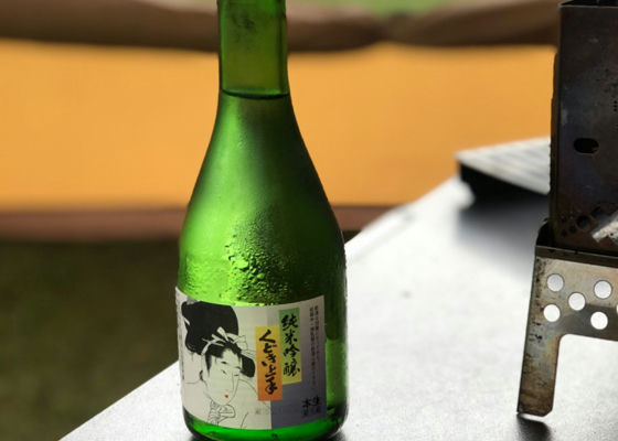 alt 1