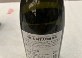 alt 2