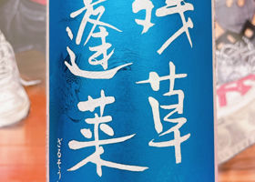 alt 2