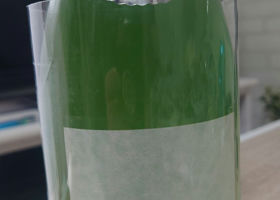 alt 2