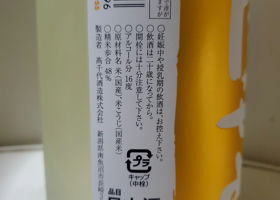 alt 3