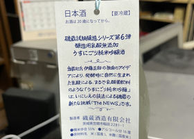 alt 3