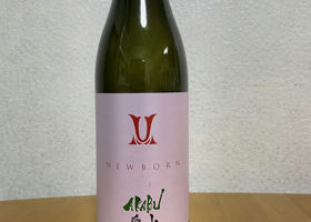 alt 3