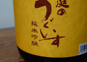 alt 3