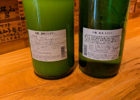 alt 2