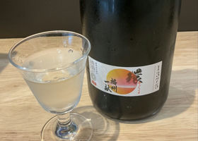 alt 3