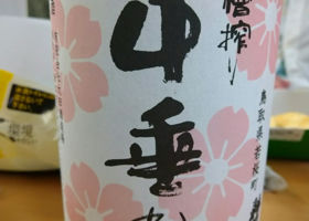 alt 1