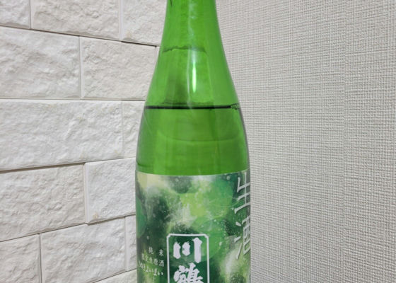 alt 1
