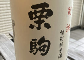 alt 3