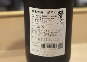 alt 3