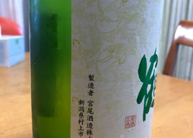 alt 3