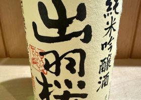 alt 1