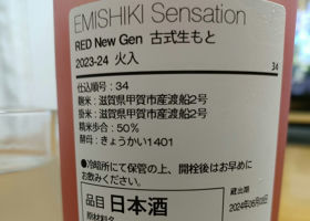 Emishiki Check-in 3