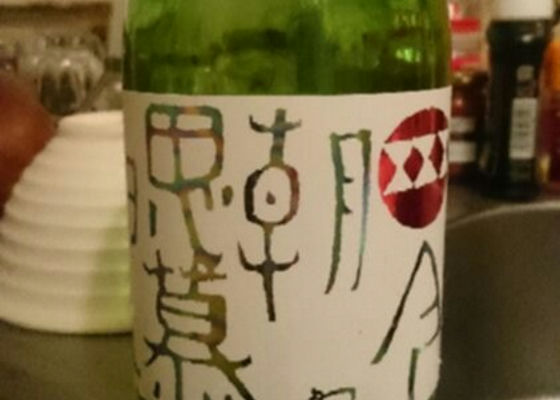 alt 1
