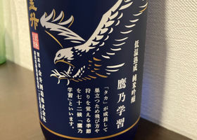 alt 3