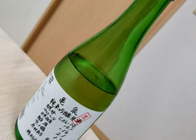alt 3