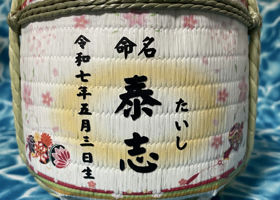 alt 1
