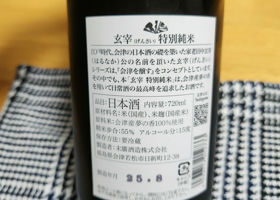alt 1