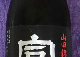 alt 1