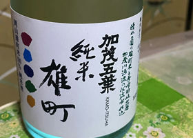 alt 1