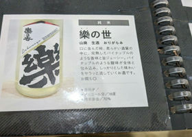 alt 3