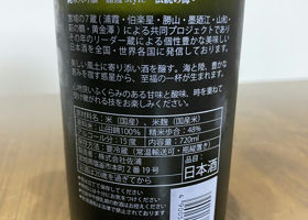 alt 2