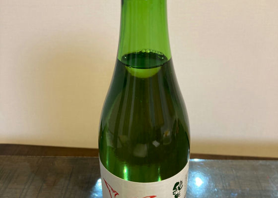 alt 1