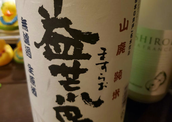alt 1