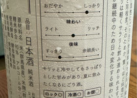 alt 3