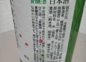 alt 3
